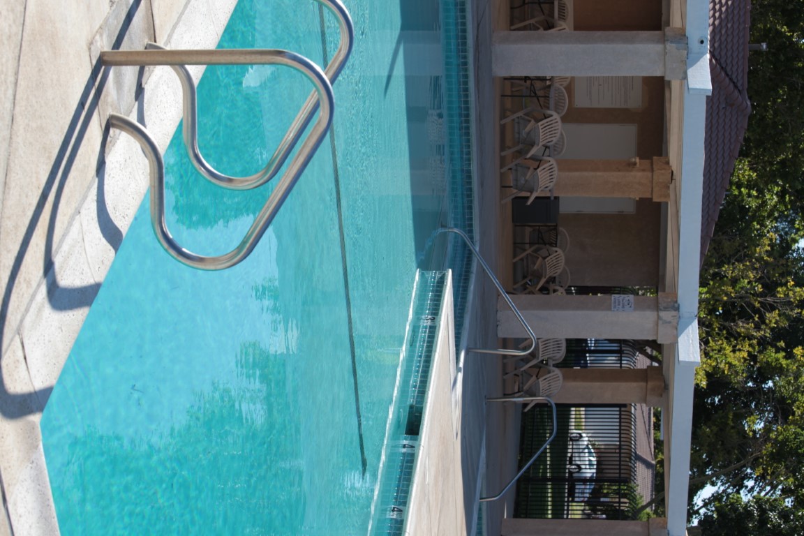 IMG_9805 - Copy (Medium).JPG